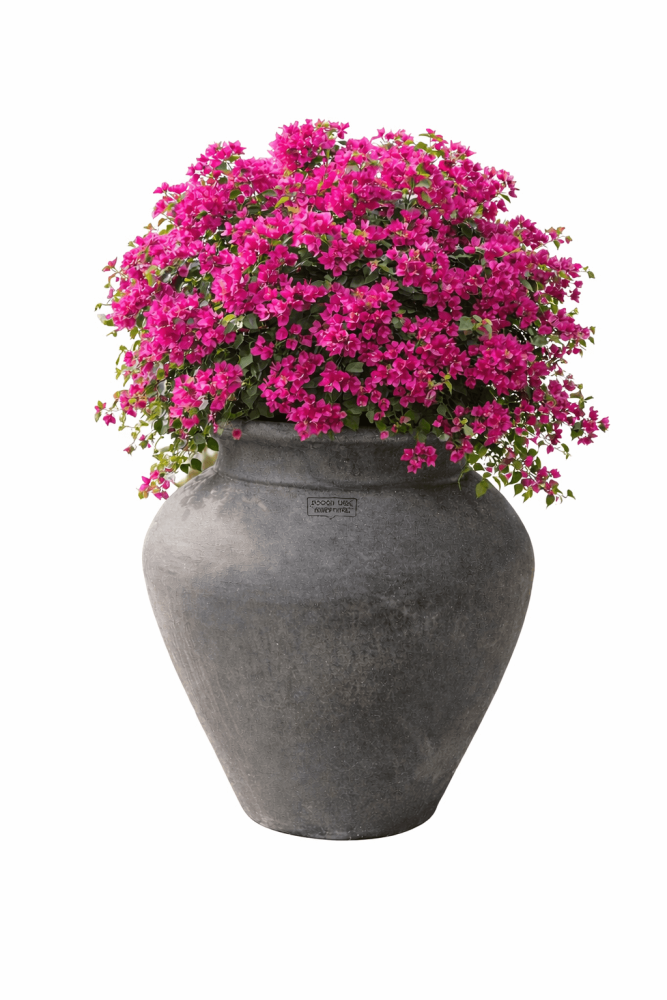 Amphore étrusque légèrement ventrue en terre cuite grise d’Impruneta – élégance toscane intemporelle